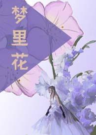 梦里花这首歌表达的意思