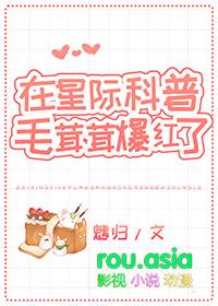 星际毛绒绒酒店经营系统全文阅读